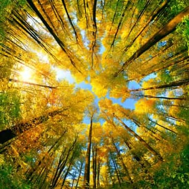 How can we connect net-zero to nature positive?